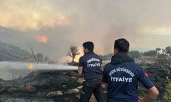 Aydın Büyükşehir itfaiyesi 1 haftada 446 yangına müdahale etti