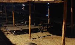 Aydın'ın Kuşadası ve Didim kıyılarında caretta hareketliliği