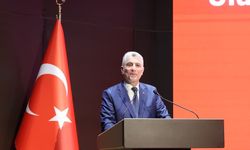 Bakan Bolat: 'Hafif ticari araç üretiminde Avrupa'da birinci sıradayız'