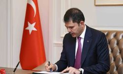 Bakan Kurum: '12 bin 800 yavru flamingo Tuz Gölü'nde yaşam buldu'