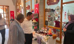 Bakan Yardımcısı Boyraz, Darende'de incelemelerde bulundu