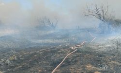 Bandırma'da arazi yangını kısa sürede söndürüldü