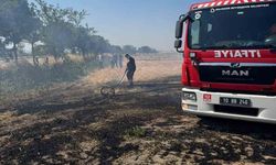 Bandırma'da çıkan anız yangını itfaiye ekiplerince söndürüldü