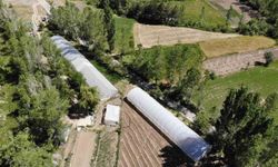 Bayburt'ta yüzde 70 hibeli sera projesi için başvurular yarın başlıyor