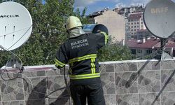 Bilecik'te 45 gün arayla aynı yerde ikinci yangın