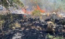 Bitlis'te peş peşe çıkan yangınlar paniğe neden oldu