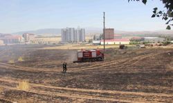 Buğday tarlasında yangın çıktı, dumanlar trafik kazasına neden oldu: 1 yaralı
