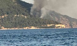 Büyükada'da plajda yangın paniği