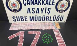 Çanakkale'de çeşitli suçlardan aranan 20 şüpheli yakalandı