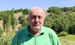 Çayır mantarını toplaması zahmetli yemesi lezzetli