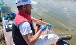 Çorum'da 3 bin 100 metre hayalet ağ ele geçirildi