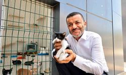 Denizli Büyükşehir'den can dostlarına şefkat eli