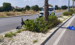 Denizli'de ağaca çarpan motosikletin sürücüsü ağır yaralandı