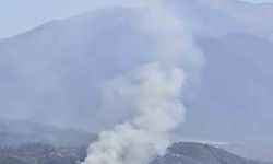 Denizli'de ormanlık alana yakın bölgede arazi yangını çıktı