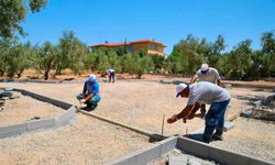 Didim'de Zeytin Park Projesi hayata geçirilecek