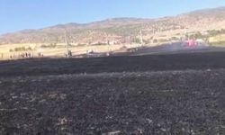 Diyarbakır'da 100 dönümlük alan alevlere teslim oldu