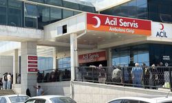Düzce'de arazi kavgası: 1 yaralı