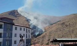 Elazığ'da dağlık alanda yangın