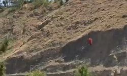 Elazığ'daki dağlık alan yangınına havadan müdahale başladı
