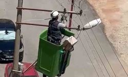 Elektrik tellerine takılan kuş kurtarıldı