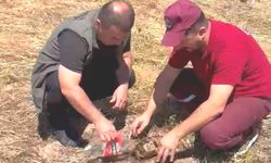 Emet'te alevlerin arasından kurtarılan kaplumbağa yürekleri ısıttı