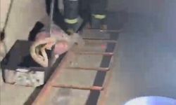 Evde görülen zehirli engerek itfaiye ekiplerince yakalandı