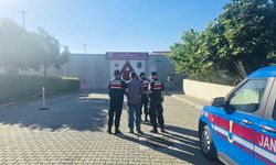 Gömeç yangınına ilişkin 2 tutuklama