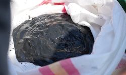 Haliç'te çevre farkındalık dalışı: 'Canlıların yaşaması asla mümkün değil'