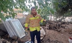 Hatay'da yerleşim alanlarında görülen yılanlar doğal yaşam alanına bırakıldı
