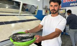 İnci kefali tezgâhlardaki yerini aldı