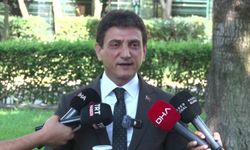 İstanbul İl Tarım ve Orman Müdürü Parıldar: 'İstanbul'umuzda herhangi bir çekirge istilasından bahsetmek mümkün değil'