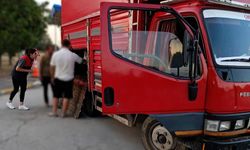 Kaçak hayvan sevkine 175 bin lira ceza