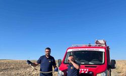 Kaymakamlık bahçesinde bulunan yılan doğaya bırakıldı