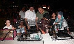 Kemer Belediyesi'nde 'Can dostları' için konser