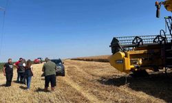 Kırklareli'nde hasat sezonunda biçerdöver denetimleri sürüyor