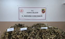 Konya'da jandarmadan uyuşturucu operasyonları: 5 tutuklama