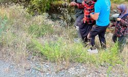 Kozan'da kayalıklardan düşen şahsı orman ekipleri kurtardı