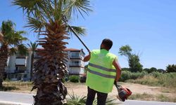 Kuşadası'nda yeşil alanlarda kapsamlı bakım ve düzenleme çalışması