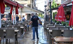 Manisa'da sivrisinekten kemirgene tam kapsamlı mücadele