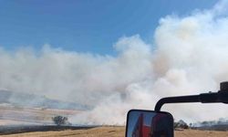 Manyas'ta çıkan anız ve orman yangını söndürüldü