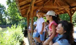 Minik kaşifler hayvanat bahçesinde