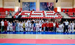 Minik taekwondocular 'Batı Grubu Seçmelerinde' ter döktü