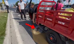 Mopede dadanan yavru kedi ezilmekten son anda kurtarıldı