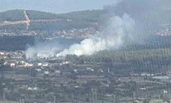 Muğla Menteşe'de orman yangını