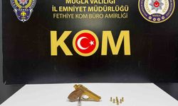 Muğla merkezli silah operasyonu: 10 gözaltı