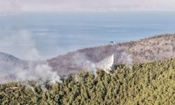 Muğla yangını büyük ölçüde kontrol altında