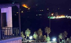 Muğla'da arazi yangını: Çok sayıda ekip sevk edildi