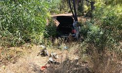 Önündeki otomobile çarptı, ardından ormana daldı: 1 yaralı