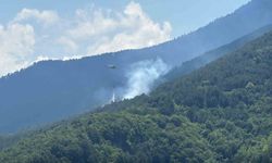 Ormanlık alanda çıkan yangına havadan ve karadan müdahale