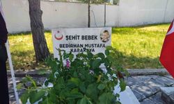 PKK'nın şehit ettiği 11 aylık Bedirhan bebek ve annesi unutulmadı